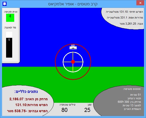 Flight Simulator